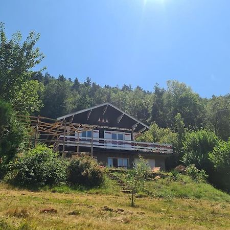 Le Chalet Des Amis Daire Aurec-Sur-Loire Dış mekan fotoğraf