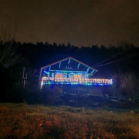 Le Chalet Des Amis Daire Aurec-Sur-Loire Dış mekan fotoğraf